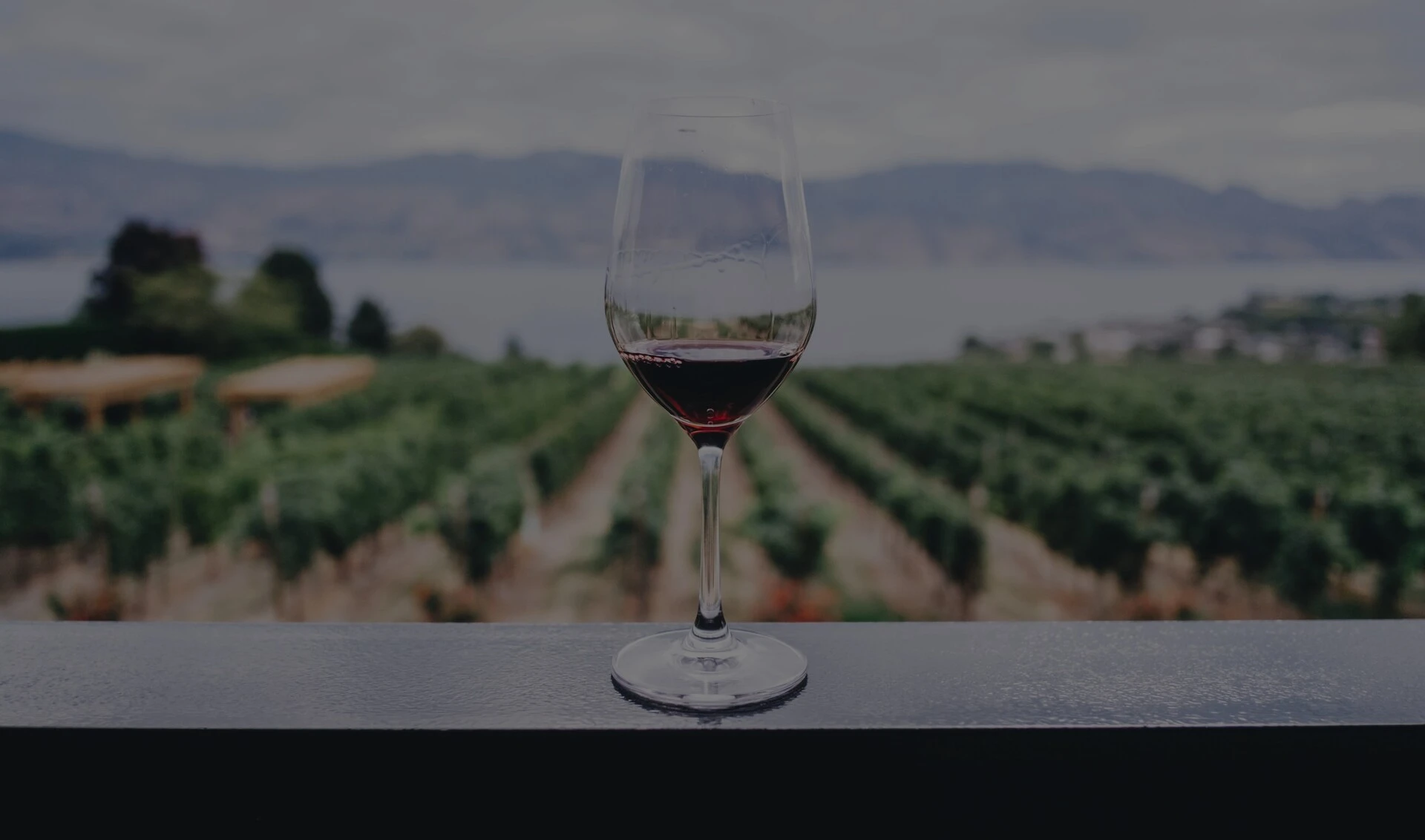 LANGA WINES