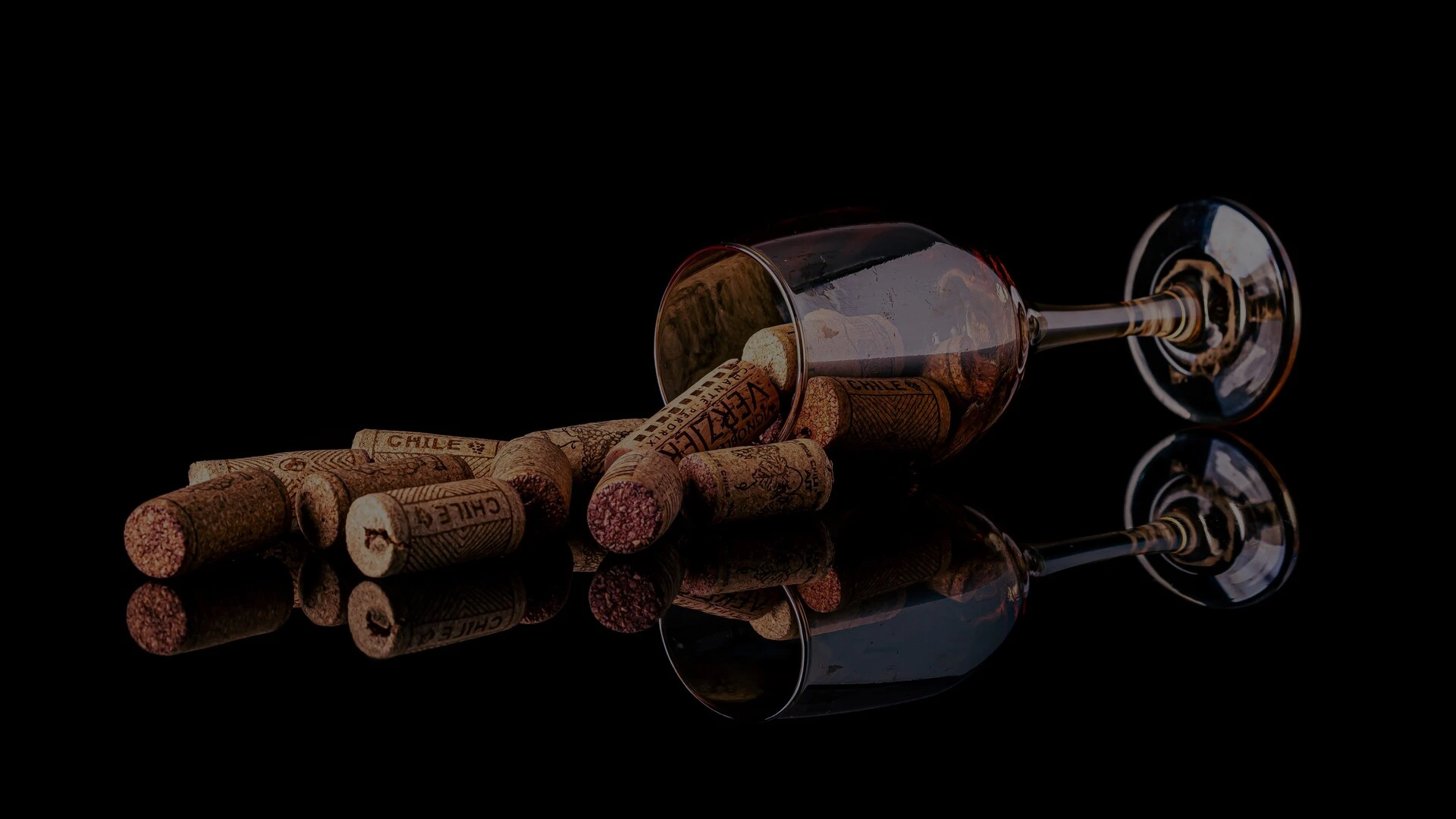 LANGA WINES